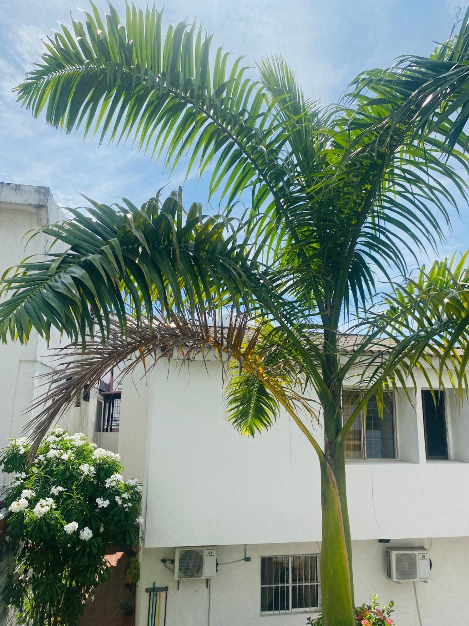 Hostel Cerca Al Centro Historico Cartagena Εξωτερικό φωτογραφία